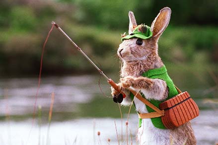 Fly Fishing Rabbit, Cressy, Tasmania, stock image by Foons Photographics Wonthaggi