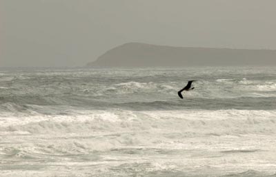 Kilcunda storm and Cape Woolami  Foons Photographics 2006