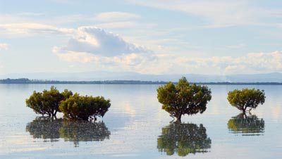 Foreshore at Corinella  Foons Photographics 2006