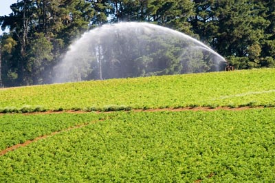 Irrigating potato crops near Thorpdale  Foons Photographics 2006